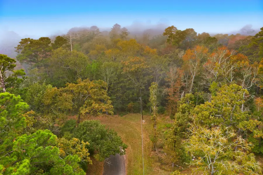 00 Redbud Ridge, Onalaska, TX 77360 - Image #2