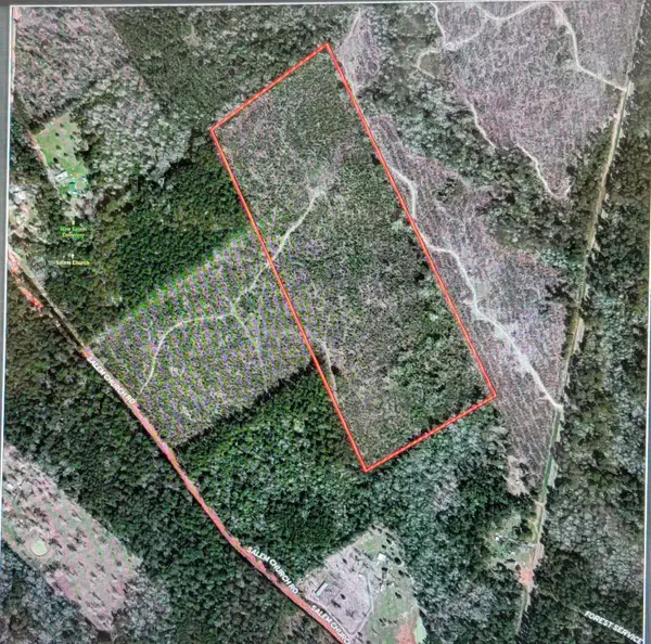 TBD Fm-3081, Willis, TX 77378