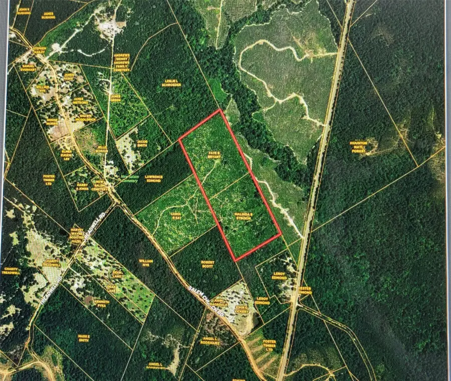 TBD Fm-3081, Willis, TX 77378 - Image #2