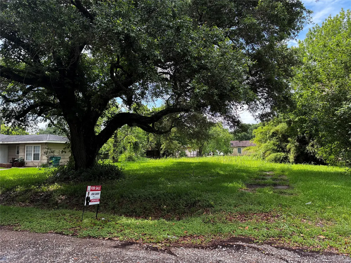 229 Nanlee Street, La Marque, TX 77568 - #1