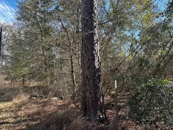 n/a Robinhood Ct / Robinhood Ln, Hockley, TX 77447