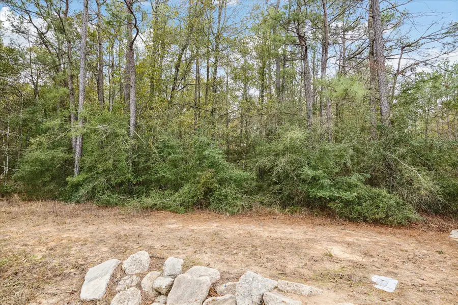 0 Bronco Lane, Waller, TX 77484 - #3