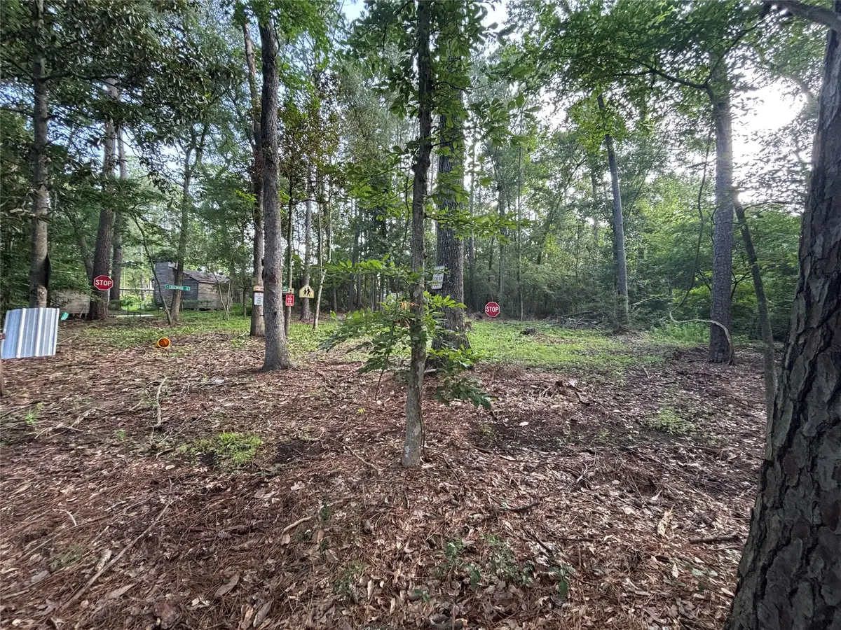 0 Long Drive, Conroe, TX 77302 - #1