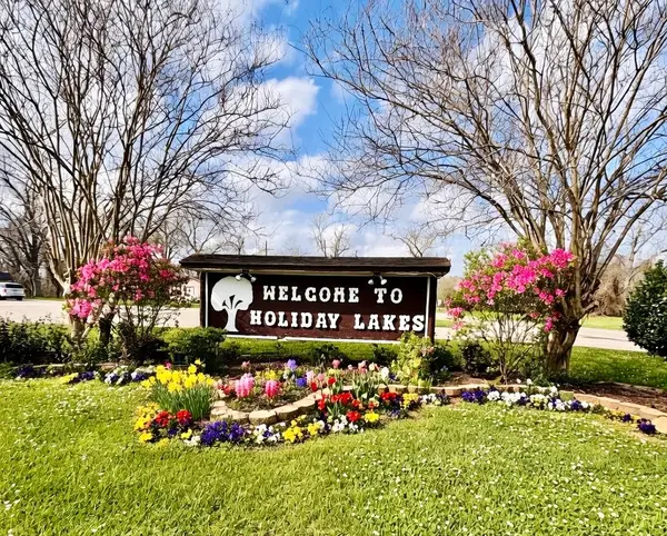 lot 22 Igloo Lane, Holiday Lakes, TX 77515