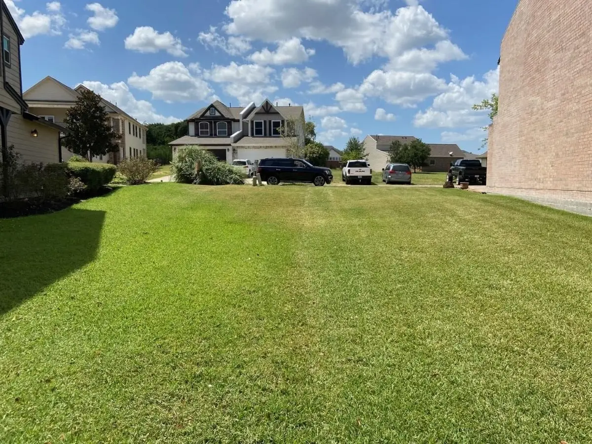 227 Capetown, Conroe, TX 77356 - #1