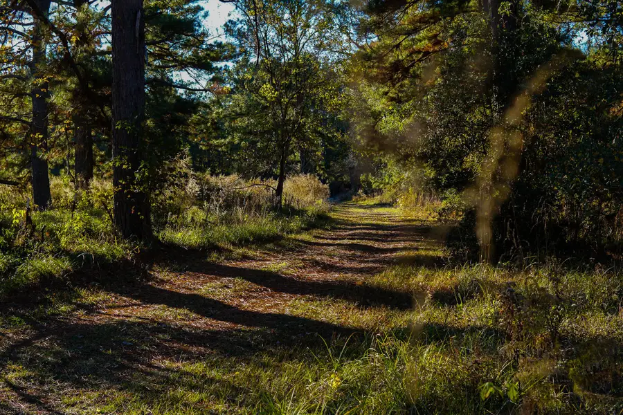 112 Highland Drive, Huntsville, TX 77320 - #3