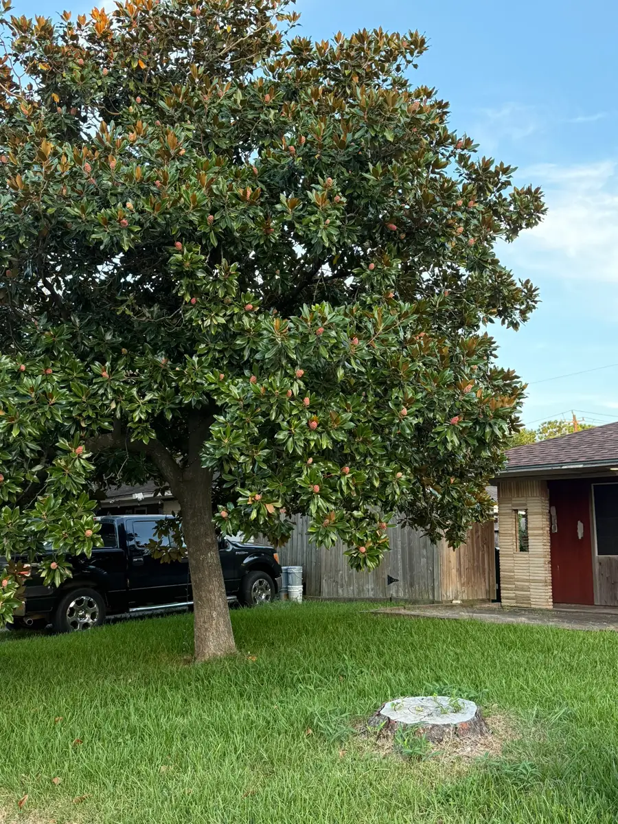 2210 Marlen Avenue, Pasadena, TX 77502 - #3