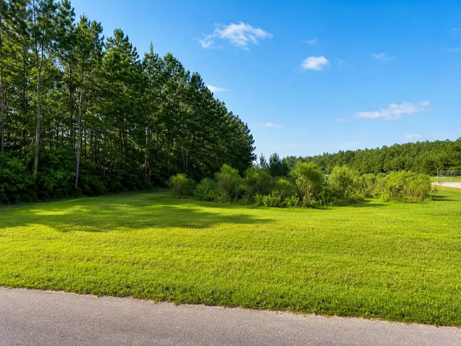 0 Fm 357, Livingston, TX 77351 - #3
