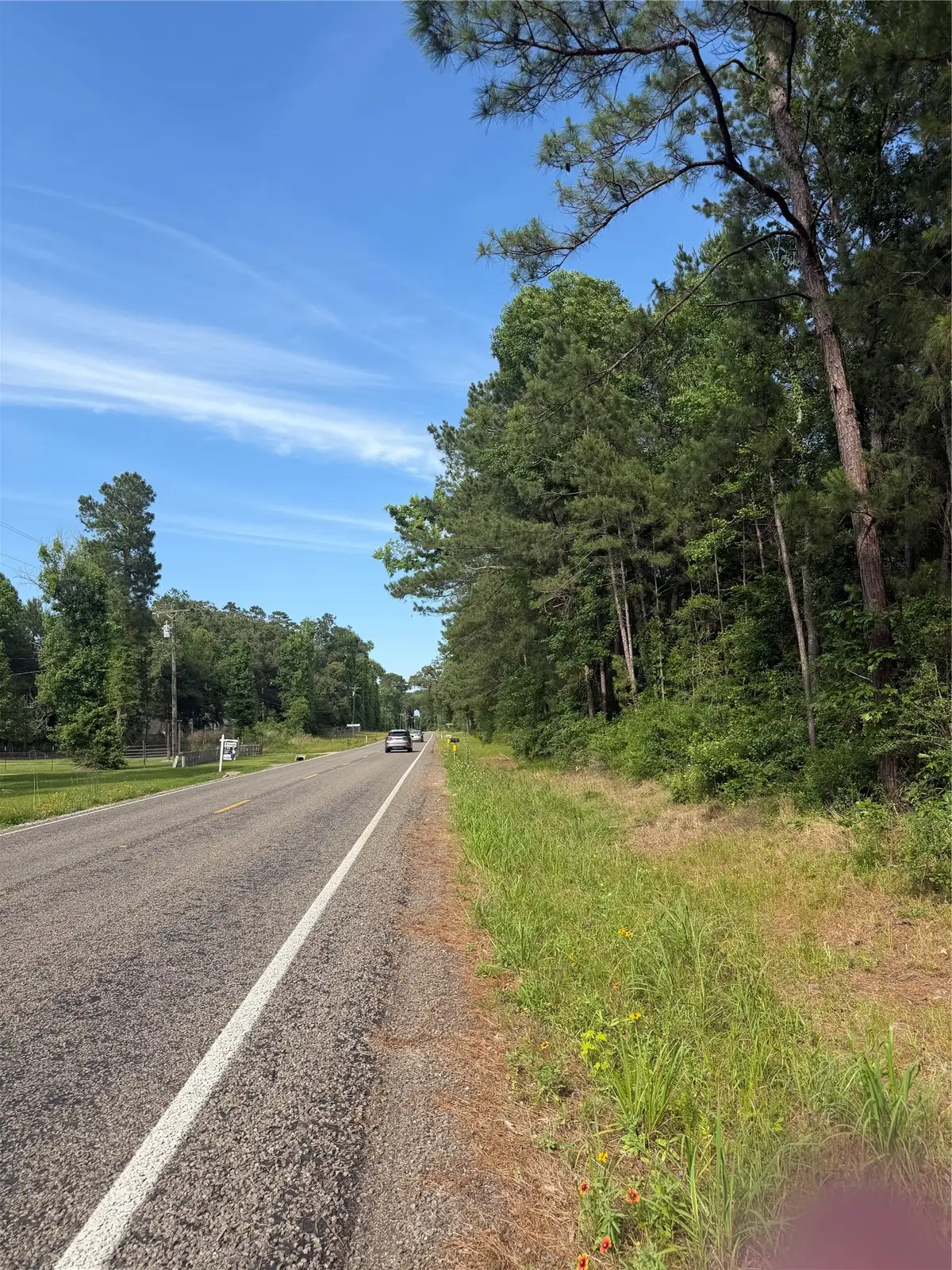 TBD Fm 1127 Road, Shepherd, TX 77371 - #1