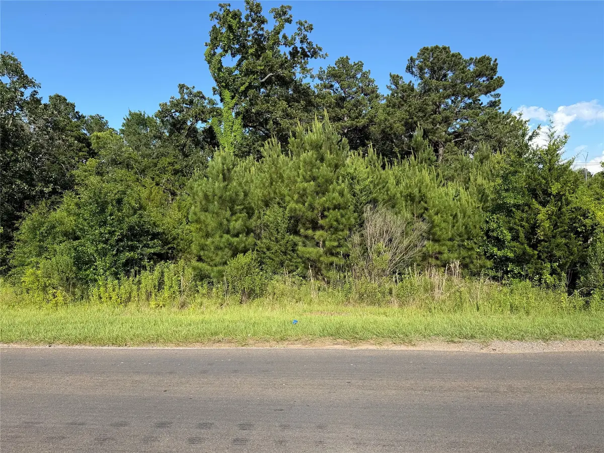 0 N Hendrix Avenue, Diboll, TX 75941 - #1