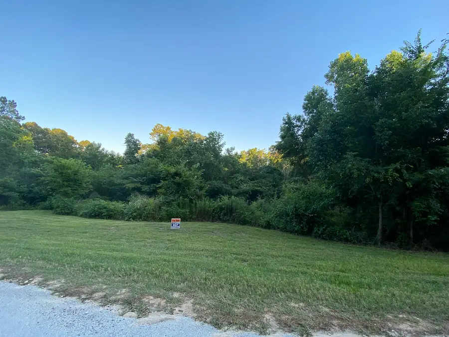 01 White Oak Drive, Point Blank, TX 77364 - #3