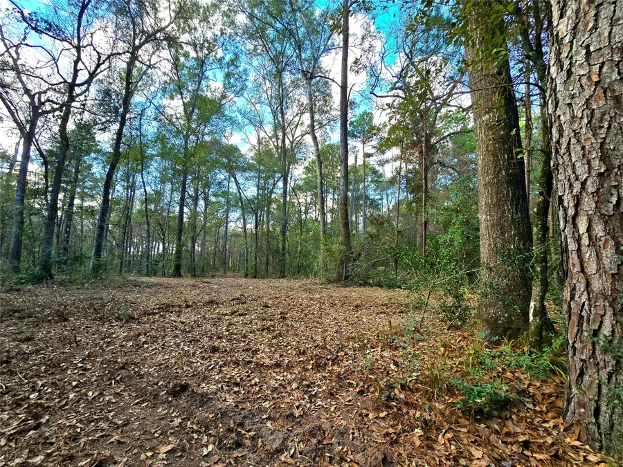 28028 Crossway Oaks, Magnolia, TX 77355 - #2