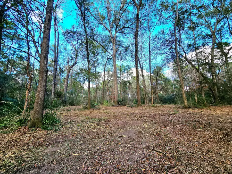 28028 Crossway Oaks, Magnolia, TX 77355 - #3