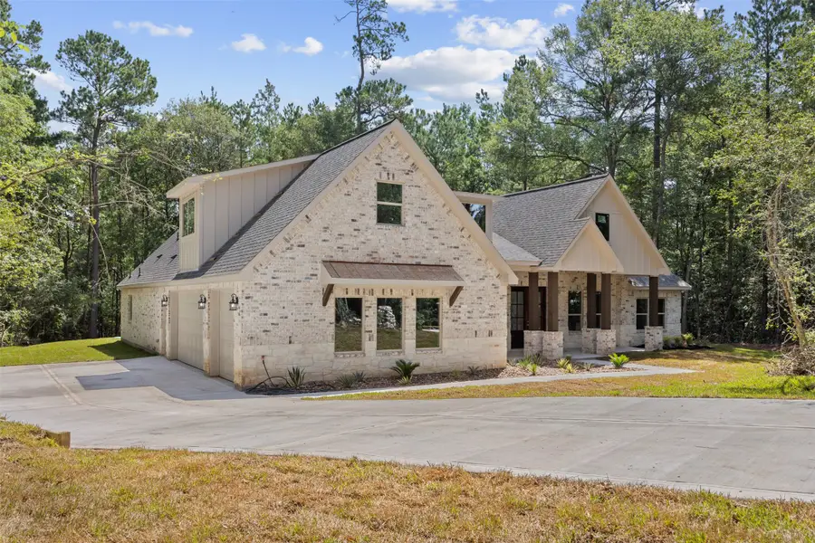 183 Windmill Road, New Waverly, TX 77358 - #2