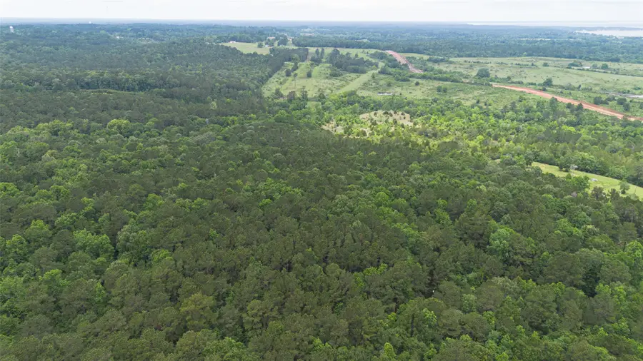 0 Rose Hill Road, Coldspring, TX 77331 - #2