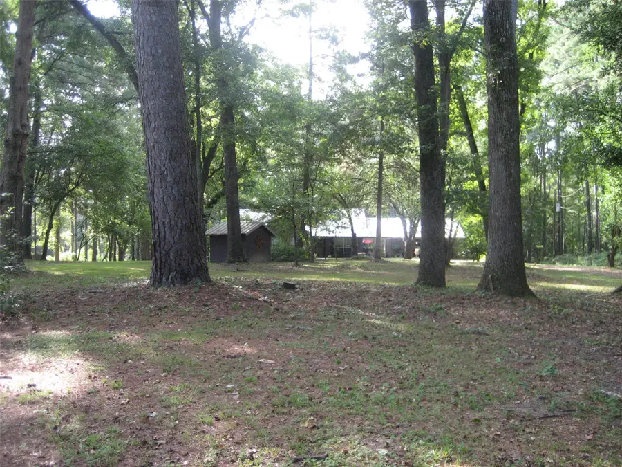 4759 County Road 1655, Grapeland, TX 75844 - #3