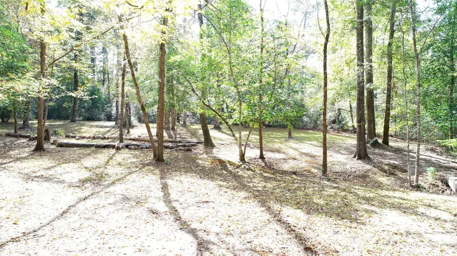 630 Hillbilly Heaven Road, Livingston, TX 77351 - #3