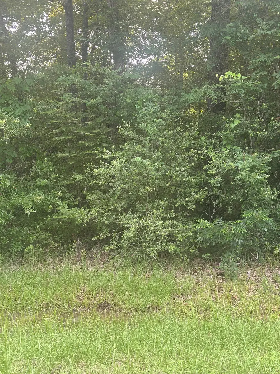 TBD Knottypine, Livingston, TX 77351 - #3