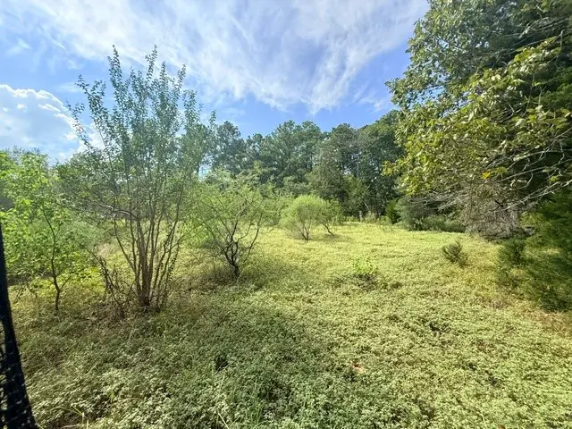 TBD0 Kings Point Drive, Coldspring, TX 77331 - #3