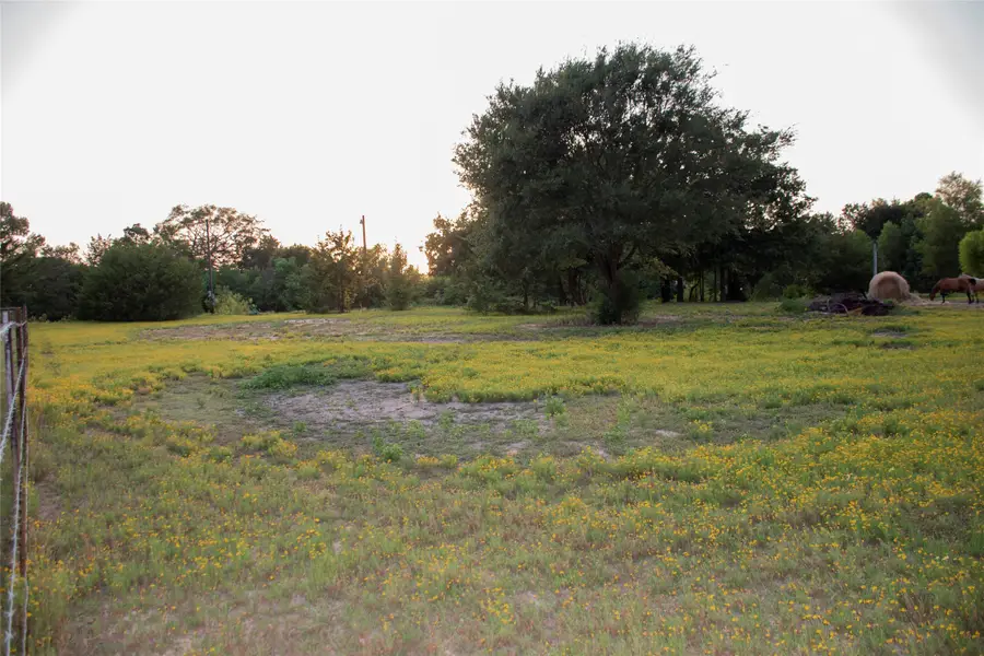 383 County Road 1875, Grapeland, TX 75844 - Image #2