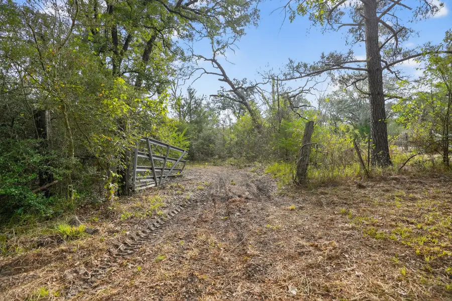 102 Outback Alley, Bedias, TX 77831 - Image #3