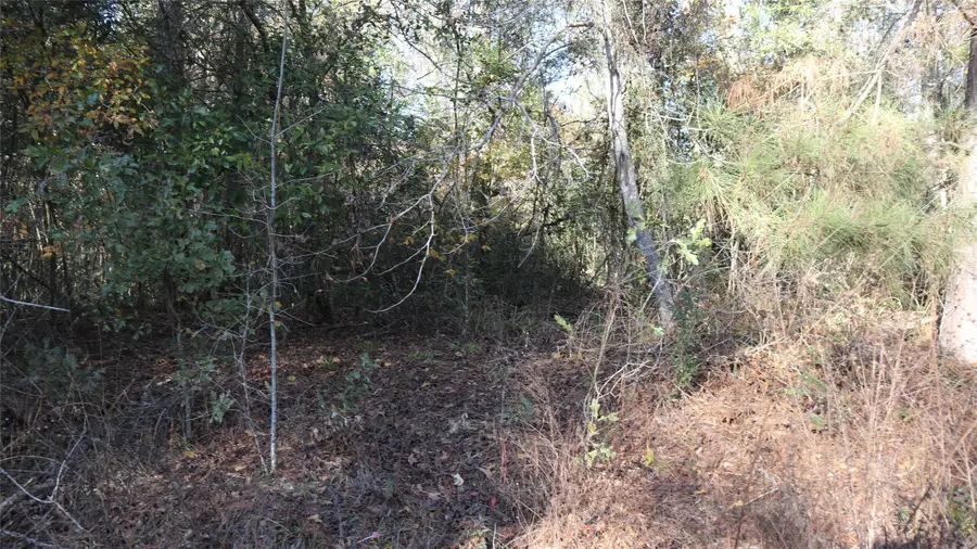 0 Pin Tail Drive, Coldspring, TX 77331 - Image #3