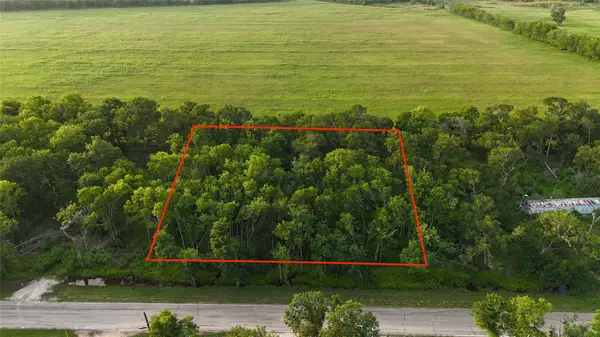 0 Brazos Avenue, Rosharon, TX 77583