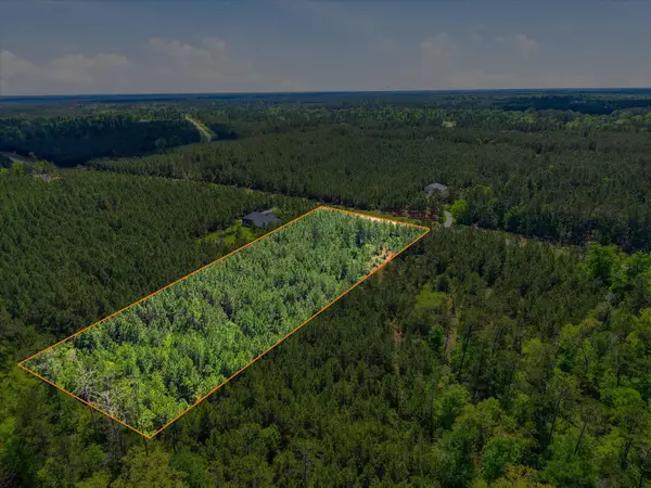 11997 High Branch Way, Willis, TX 77378