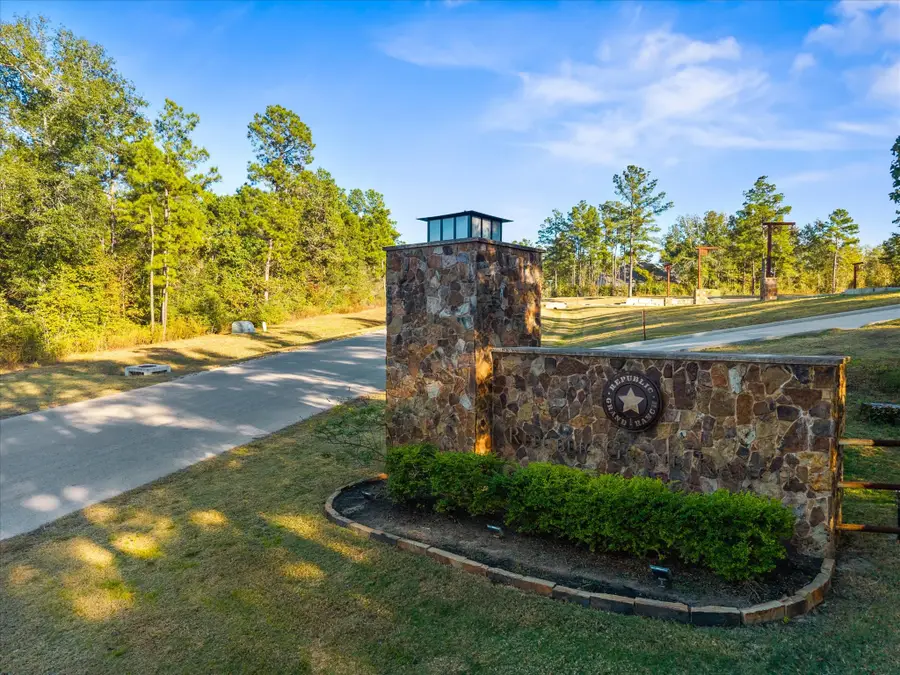 11997 High Branch Way, Willis, TX 77378 - #2