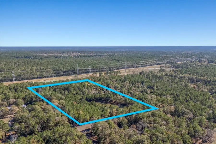 15715 Rustling Oak Lane, Plantersville, TX 77363 - Image #3