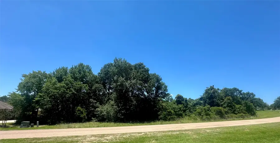 Lot 16 King Oaks Drive, Iola, TX 77861 - #3