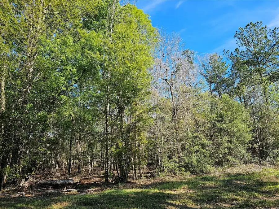 0 Magnolia Woods Drive, Livingston, TX 77351 - #2