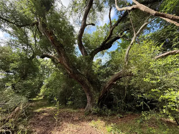 6827 Bryan Road, Jones Creek, TX 77541