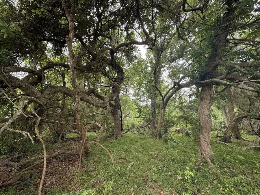 6827 Bryan Road, Jones Creek, TX 77541 - #2