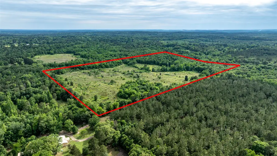 Lot 1 County Road 1584, Avinger, TX 75630 - #3