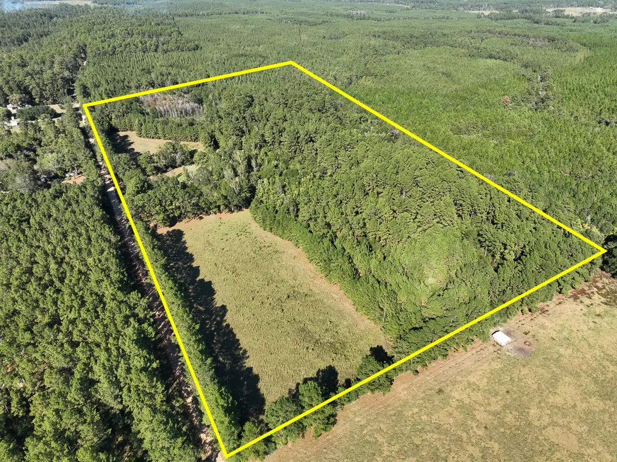 2357 County Road 4850, Warren, TX 77664 - #1