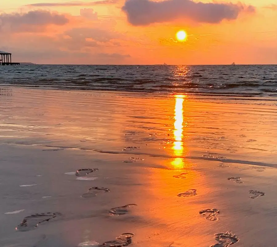 4915 Louise Street, Seabrook, TX 77586 - #2