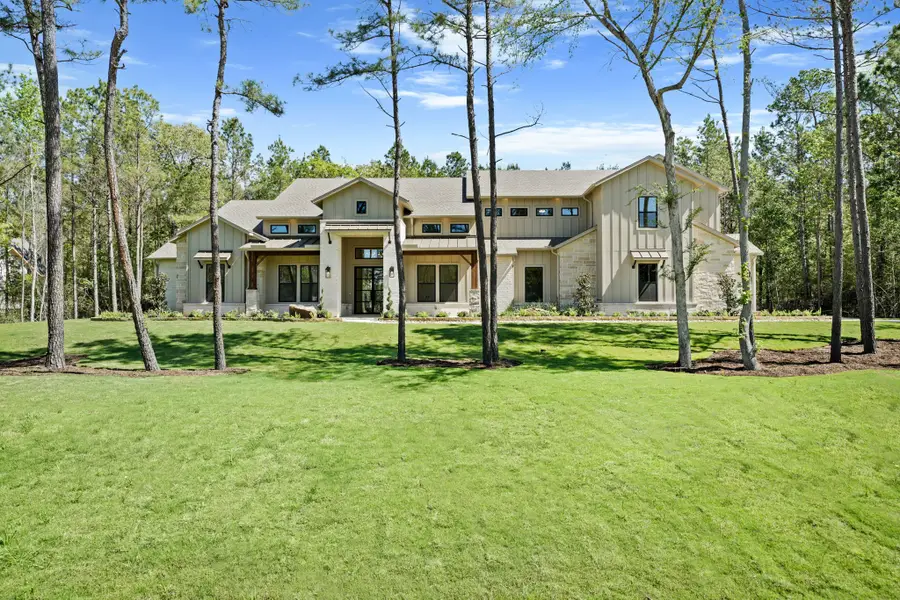 7738 Dog Wood Acres Drive, Montgomery, TX 77316 - #2
