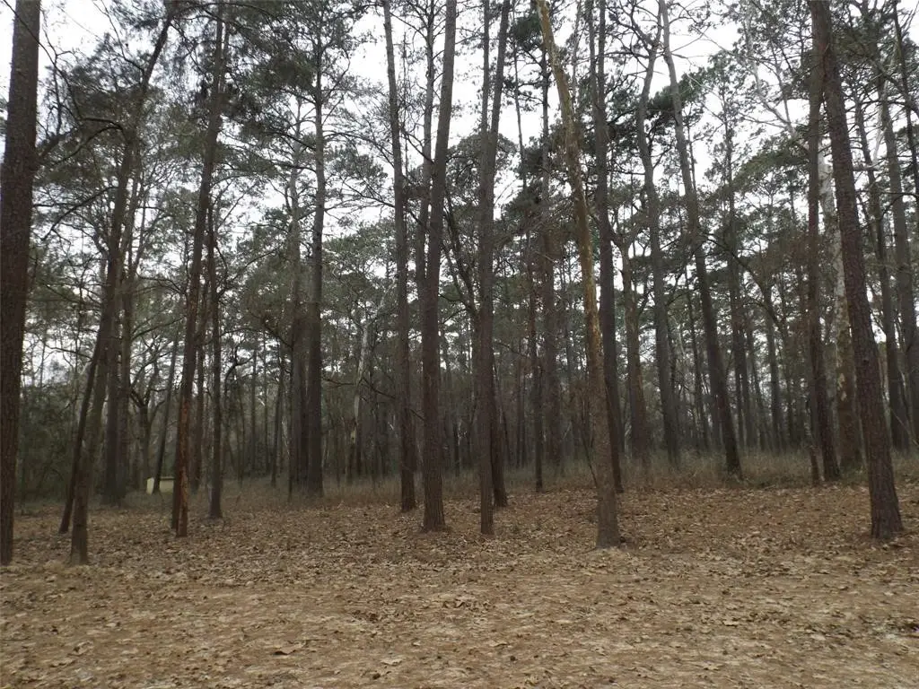 24018 Crooked Creek, Hockley, TX 77447 - #1