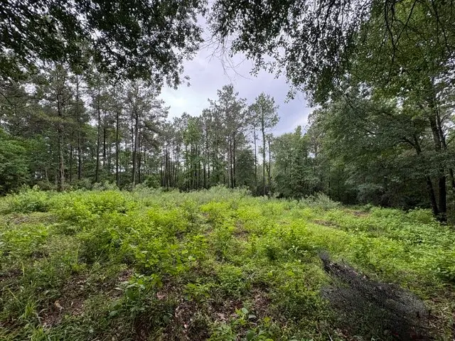 268 Cedar Valley Road, Coldspring, TX 77331 - #1