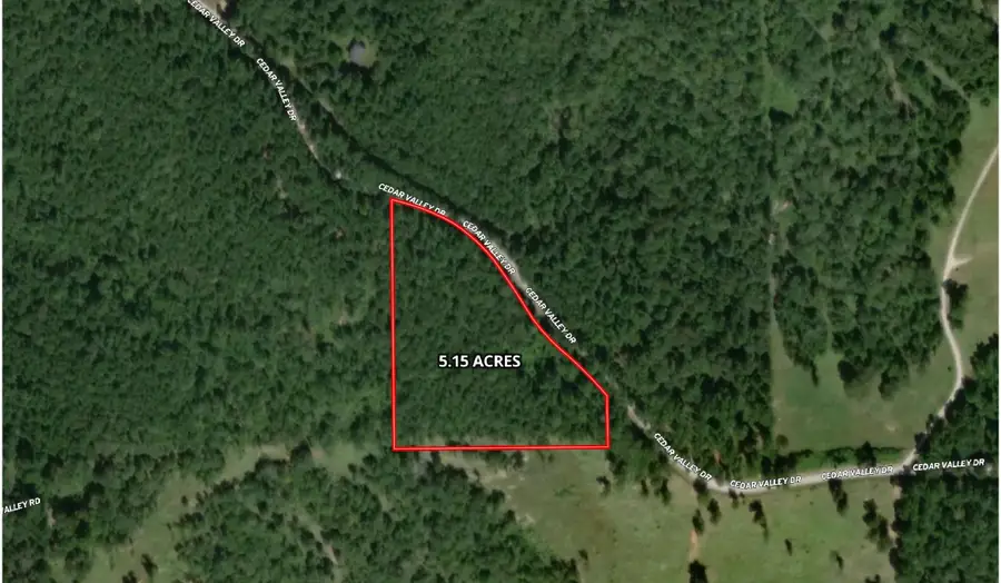 268 Cedar Valley Road, Coldspring, TX 77331 - #2