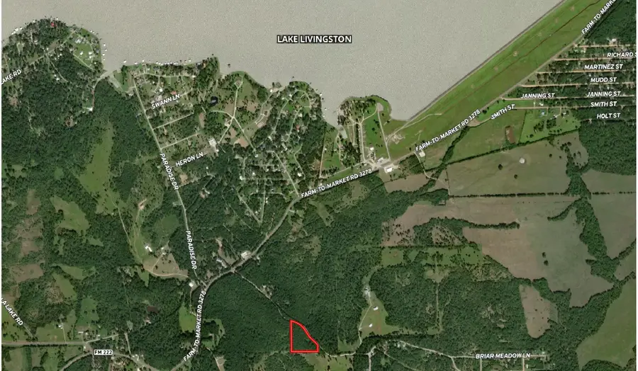 268 Cedar Valley Road, Coldspring, TX 77331 - #3