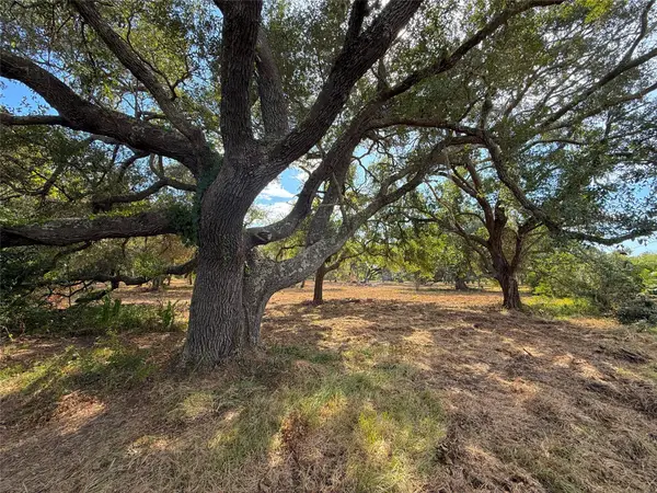 Lot 1 S F Austin, Freeport, TX 77541
