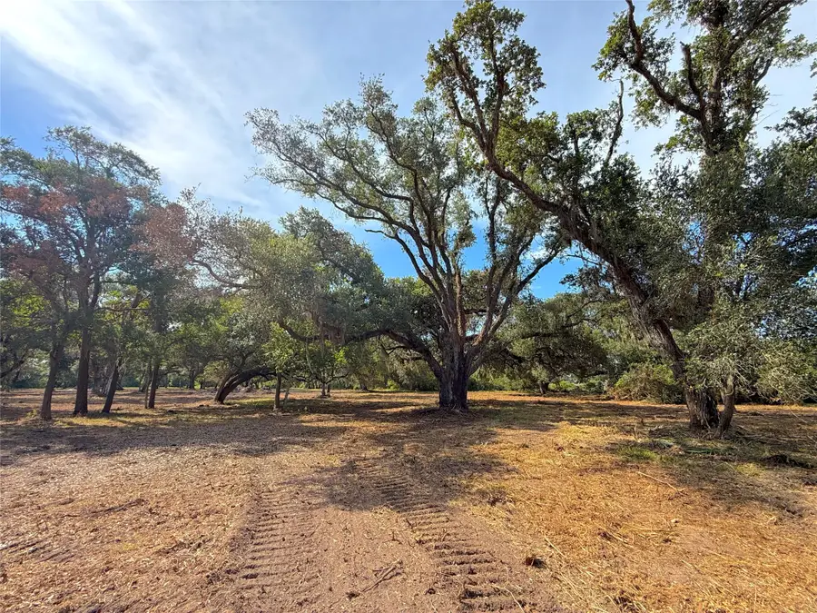 Lot 1 S F Austin, Freeport, TX 77541 - #3