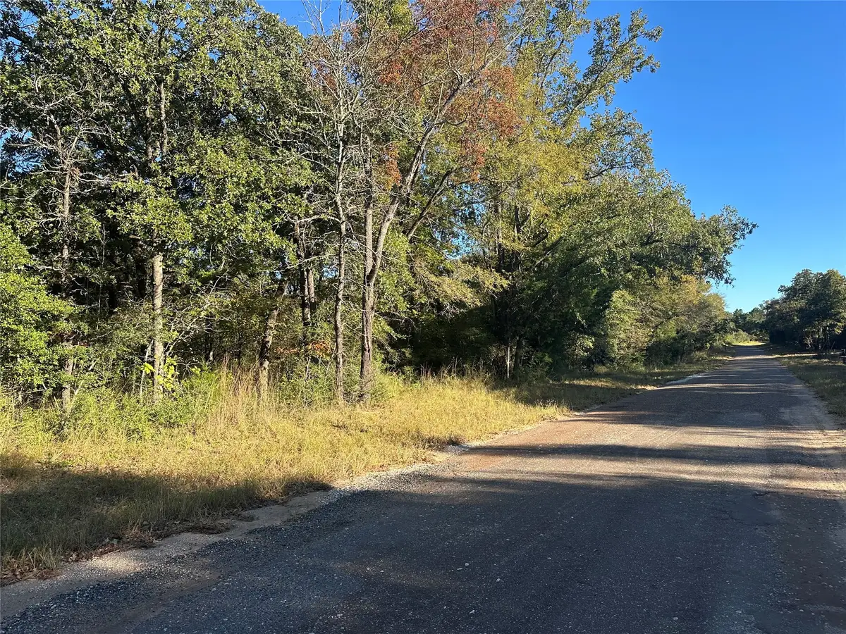 TR 3 Cr219, Buffalo, TX 75831 - Image #1