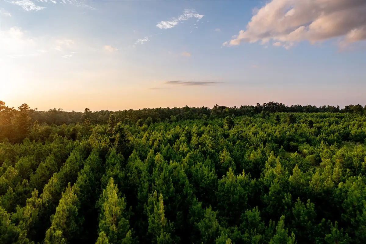 1999 Cherokee Trail, Lovelady, TX 75851 - #1