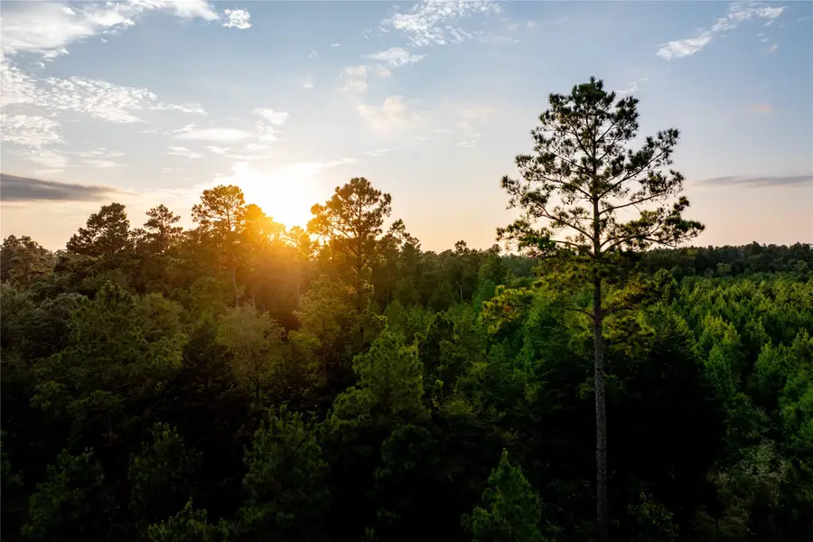 1999 Cherokee Trail, Lovelady, TX 75851 - #2