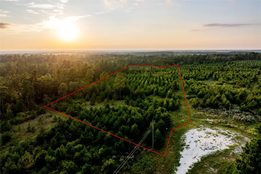 1999 Cherokee Trail, Lovelady, TX 75851 - #3