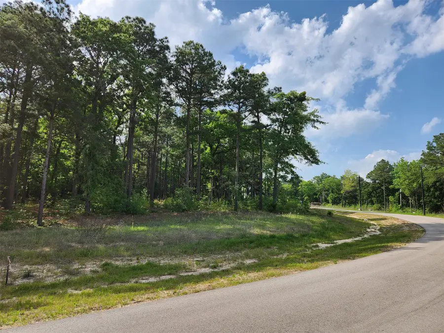 3281 Shadow Pine Dr Lot, Larue, TX 75770 - #2