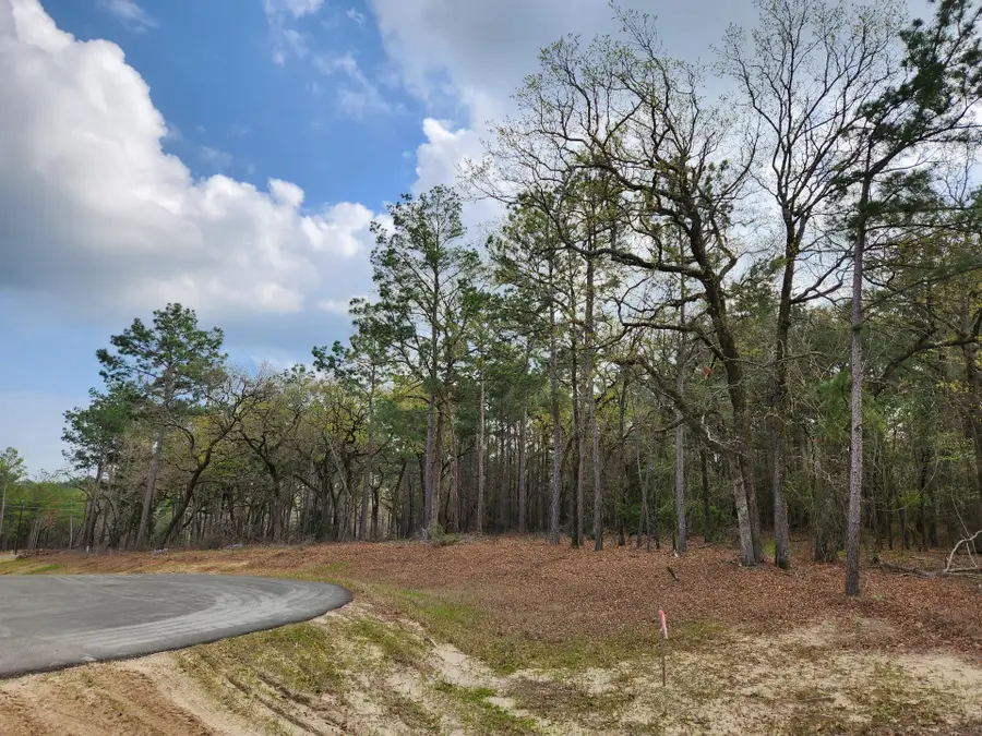 3281 Shadow Pine Dr Lot, Larue, TX 75770 - #3
